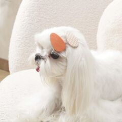 M-Pets Glam Desenli Kedi ve Köpekler İçin Aksesuar Toka Turuncu