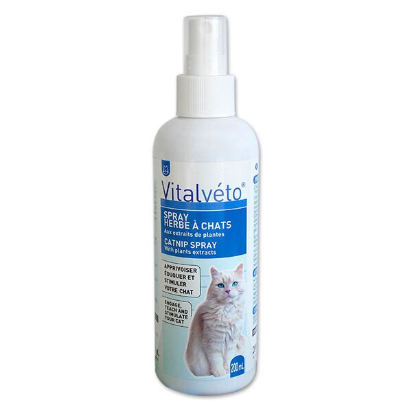 Vitalveto Catnip Otlu Kediler için Dikkat Çekici Sprey 200 Ml