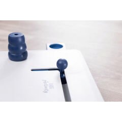 Trixie Move2Win Köpek Zeka Eğitim Oyuncağı 34x6x13 Cm