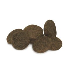 Unica Classe Adult Mini Sensitive Ton Balıklı Küçük Irk Yetişkin Köpek Maması 2 Kg