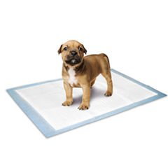 Flamingo Yavru Köpek Çiş Eğitim Pedi Medium 10 Adet 60x40 Cm