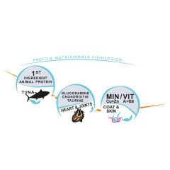 Unica Classe Adult Sensitive Ton Balıklı Büyük Irk Yetişkin Köpek Maması 12 Kg