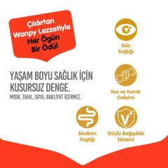 Wanpy Tavuklu Tahılsız Yavru Kedi Maması 8 Kg