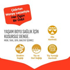 Wanpy Ton Balıklı Tahılsız Yetişkin Kedi Maması 8 kg