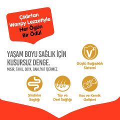 Wanpy Ördekli Tahılsız Yetişkin Köpek Maması 12 kg
