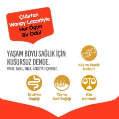 Wanpy Sığır Etli Tahılsız Yetişkin Köpek Maması 12 kg