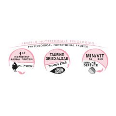 Unica Classe Kitten Development Tavuklu Yavru Kedi Maması 300 Gr
