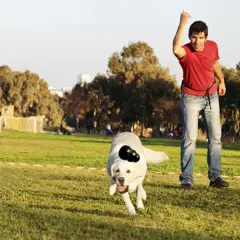 Kong Extreme Ödül Hazneli Köpek Oyuncağı Xlarge 13 Cm