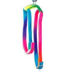Eastland Fosforlu Kedi Göğüs Tasması 31-41 Cm
