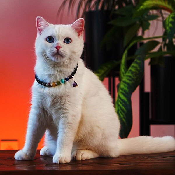 Pnx Pet Çakra Doğaltaş Kedi ve Köpek Künyesi