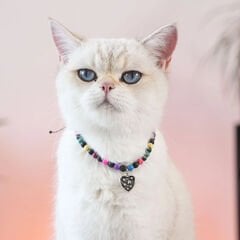 Pnx Pet Lav Doğaltaş Kedi ve Köpek Künyesi Renkli