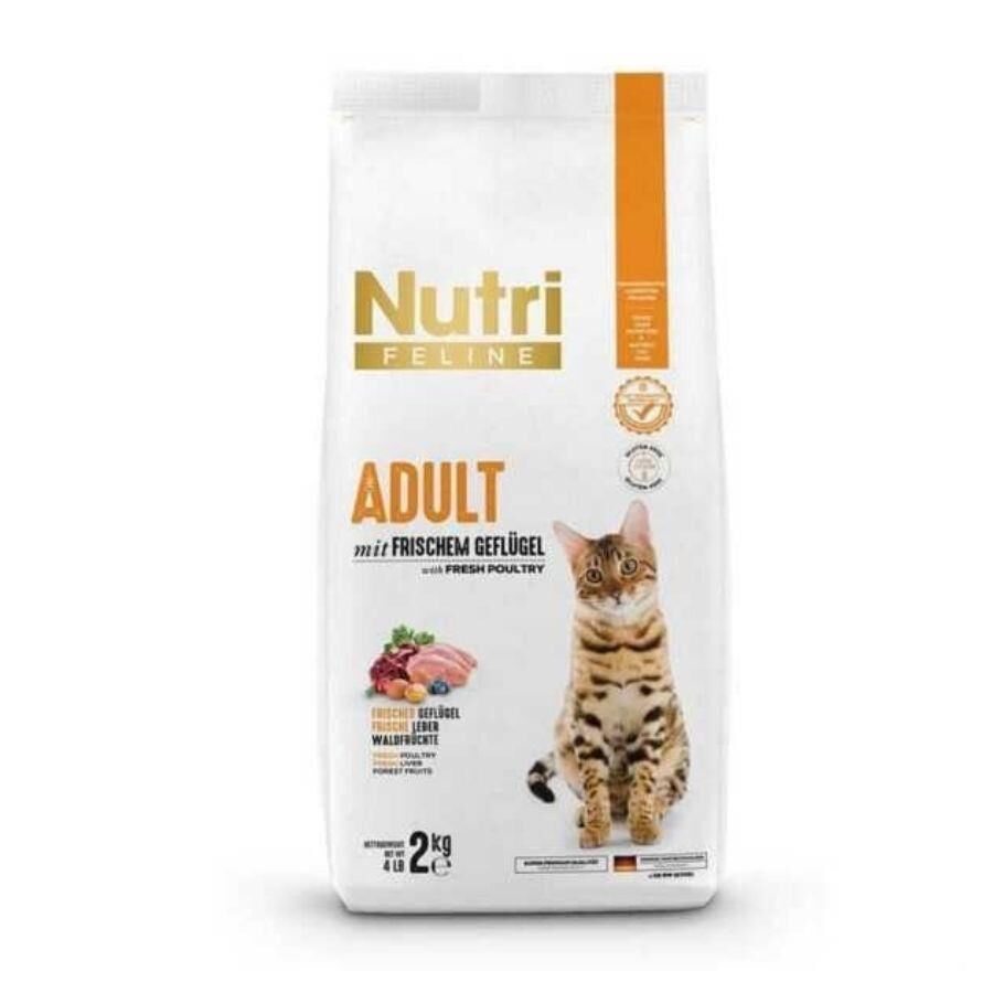 Nutri Feline Nutri Glutensiz Kümes Hayvanlı Düşük Tahıllı Yetişkin Kedi Maması 2 kg