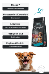 Signature Kuzulu Küçük Irk Yavru Köpek Maması 12 Kg