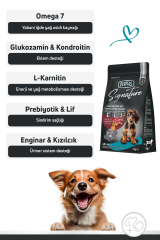 Signature Kuzulu Küçük Irk Yavru Köpek Maması 3 Kg