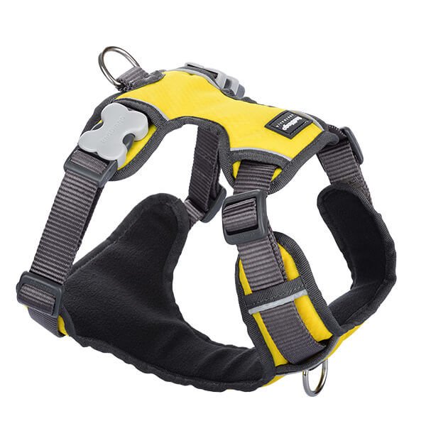 Red Dingo Konfor Sarı Polarlı Köpek Göğüs Tasması 20 Mm
