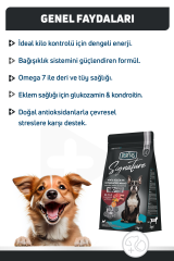 Signature Kuzulu Küçük Irk Yetişkin Köpek Maması 3 Kg