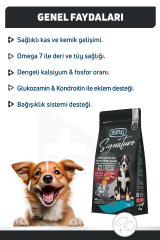 Signature Kuzulu Orta ve Büyük Irk Yavru Köpek Maması 12 Kg