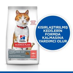 Hill's SCIENCE PLAN Kısırlaştırılmış Yetişkin Somonlu Kedi Maması 8 kg + 2 kg