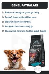 Signature Kuzulu Orta ve Büyük Irk Yetişkin Köpek Maması 12 Kg
