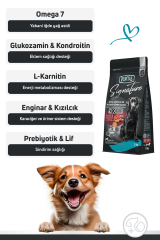 Signature Kuzulu Orta ve Büyük Irk Yetişkin Köpek Maması 12 Kg