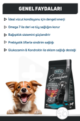 Signature Kuzulu Orta ve Büyük Irk Yetişkin Köpek Maması 3 Kg