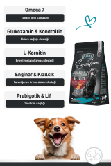 Signature Kuzulu Orta ve Büyük Irk Yetişkin Köpek Maması 3 Kg