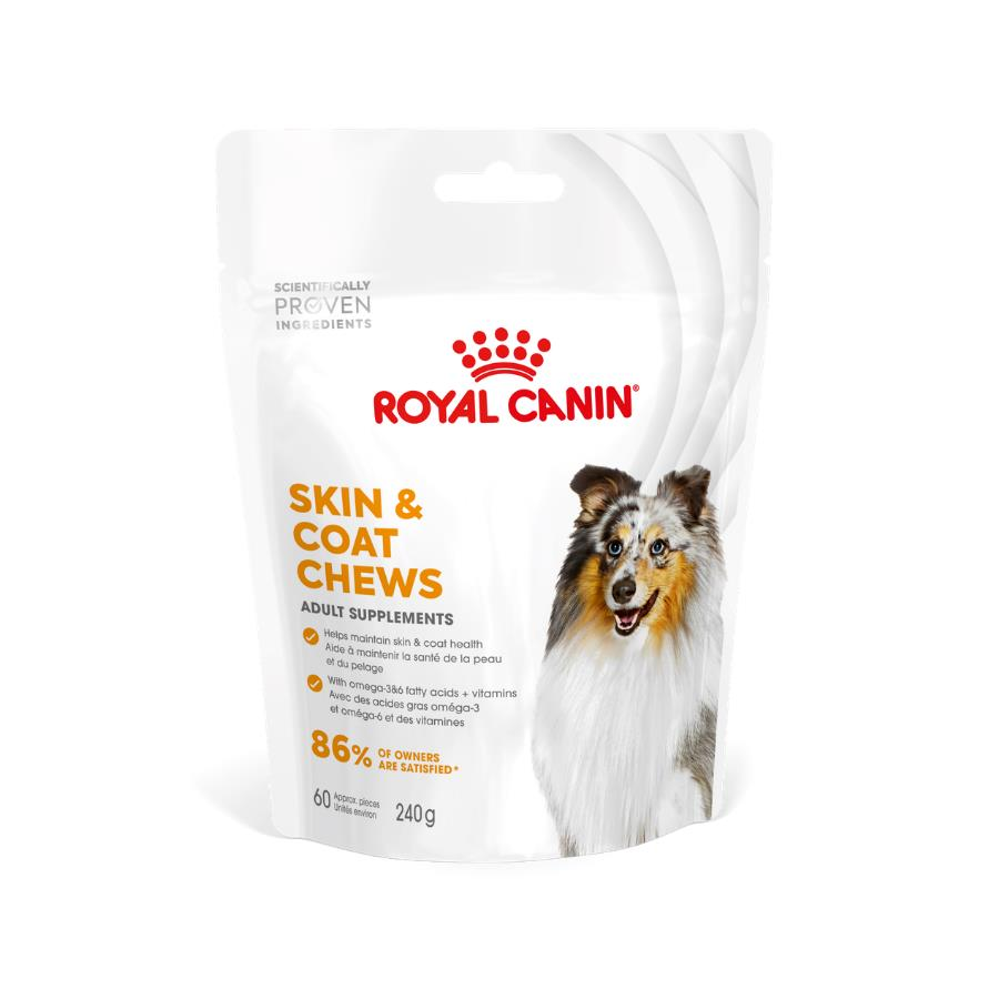 Royal Canin Yetişkin Köpekler İçin Deri ve Tüy Sağlığını Destekleyen Tamamlayıcı Ödül Maması 240 Gr