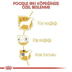 Royal Canin Poodle Adult Yetişkin Köpek Maması 3 Kg