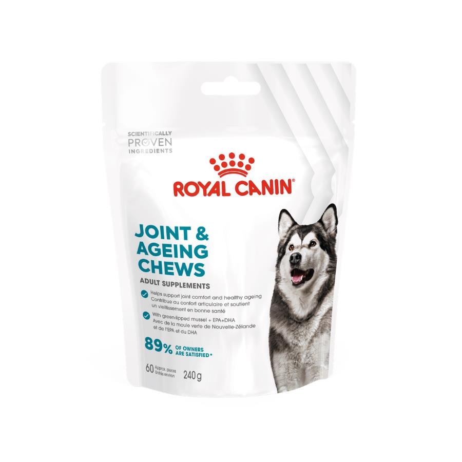 Royal Canin Yetişkin Köpekler İçin Eklem ve Sağlıklı Yaşlanmayı Destekleyen Tamamlayıcı Ödül Maması 240 Gr