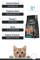 Signature Somonlu Yetişkin Kedi Maması 2 Kg