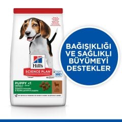 Hill's SCIENCE PLAN Orta Irk Kuzulu ve Pirinçli Yavru Köpek Maması 2,5 kg