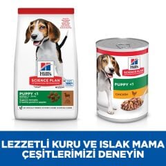 Hill's SCIENCE PLAN Orta Irk Kuzulu ve Pirinçli Yavru Köpek Maması 2,5 kg