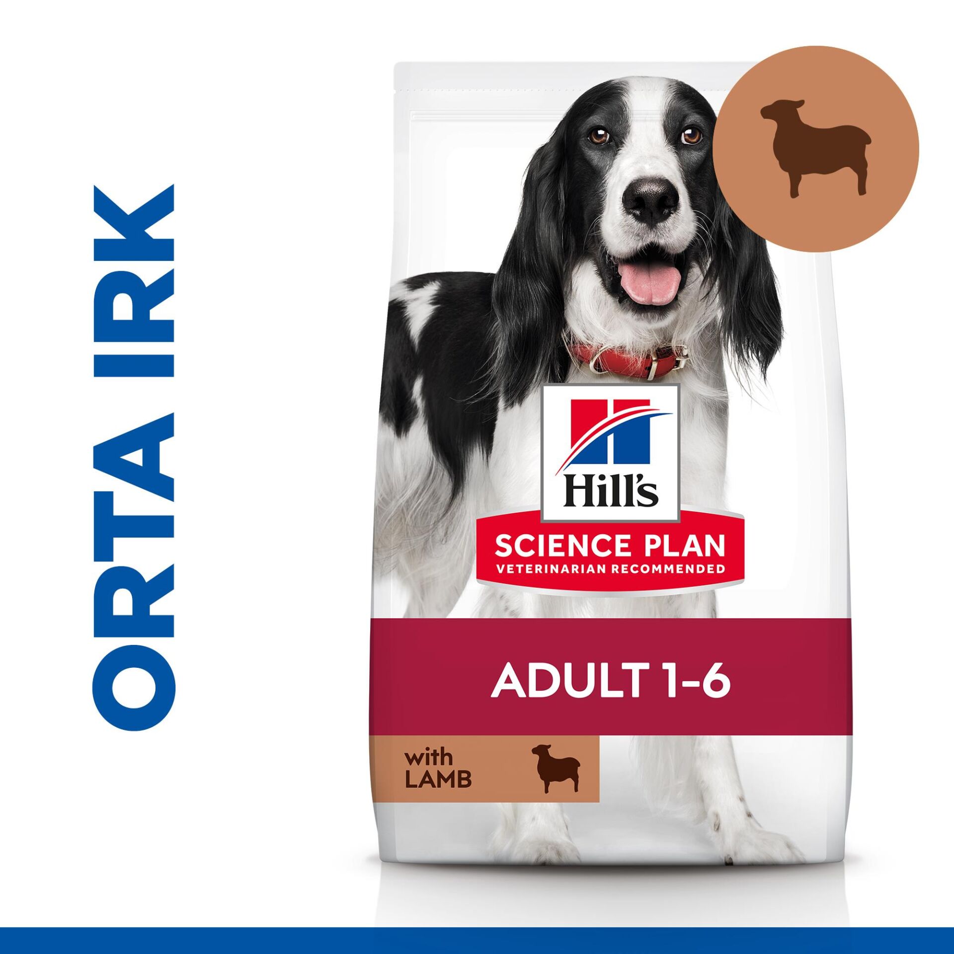 Hill's SCIENCE PLAN Yetişkin Orta Irk Kuzulu ve Pirinçli Köpek Maması 2,5 kg
