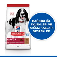 Hill's SCIENCE PLAN Yetişkin Orta Irk Kuzulu ve Pirinçli Köpek Maması 2,5 kg