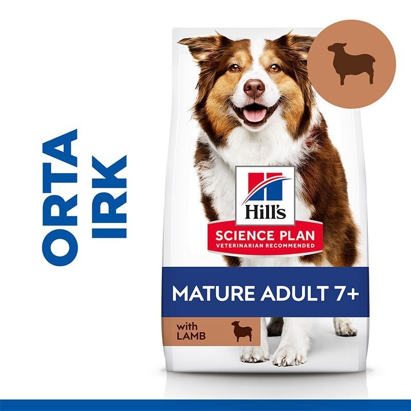 Hill's SCIENCE PLAN Light +7 Yaşlı Orta Irk Kuzulu ve Pirinçli Köpek Maması 2,5 kg