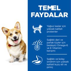 Hills Adult Small Küçük Irk Kuzulu Yetişkin Köpek Maması 6 Kg