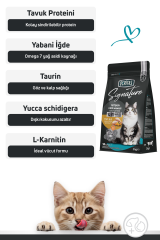 Signature Tavuklu Yetişkin Kedi Maması 2 Kg