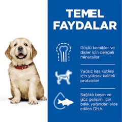 Hill's SCIENCE PLAN Büyük Irk Tavuklu Yavru Köpek Maması 2,5 kg