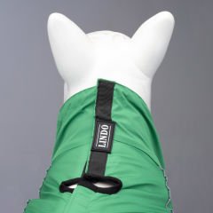 Lindo Dogs Quattro Nebula Köpek Yağmurluğu Yeşil Beden 3