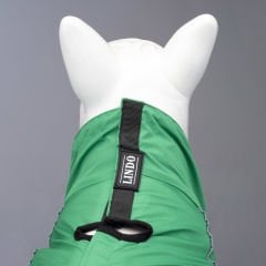Lindo Dogs Quattro Nebula Köpek Yağmurluğu Yeşil Beden 4