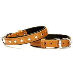 Doggie Comfort Deri Rivetli Köpek Boyun Tasması Medium Camel 2x35-40 Cm
