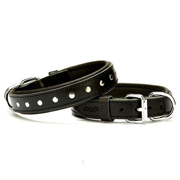 Doggie Comfort Deri Rivetli Köpek Boyun Tasması Medium Siyah 2.5x37-45 Cm