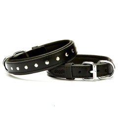 Doggie Comfort Deri Rivetli Köpek Boyun Tasması Medium Siyah 2.5x37-45 Cm