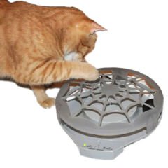 Wingpet Kedi Aktivite Oyuncağı