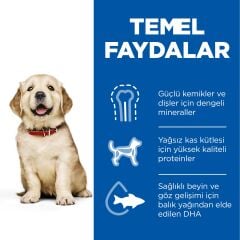 Hill's SCIENCE PLAN Büyük Irk Tavuklu Yavru Köpek Maması 14,5 kg