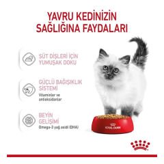 Royal Canin Kitten Jelly Pouch Yavru Konserve Kedi Maması 1 Adet 85 Gr