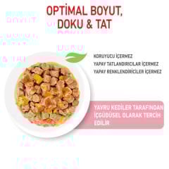 Royal Canin Kitten Jelly Pouch Yavru Konserve Kedi Maması 1 Adet 85 Gr