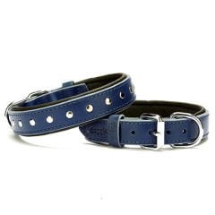 Doggie Comfort Deri Rivetli Köpek Boyun Tasması Medium Mavi 2.5x37-45 Cm