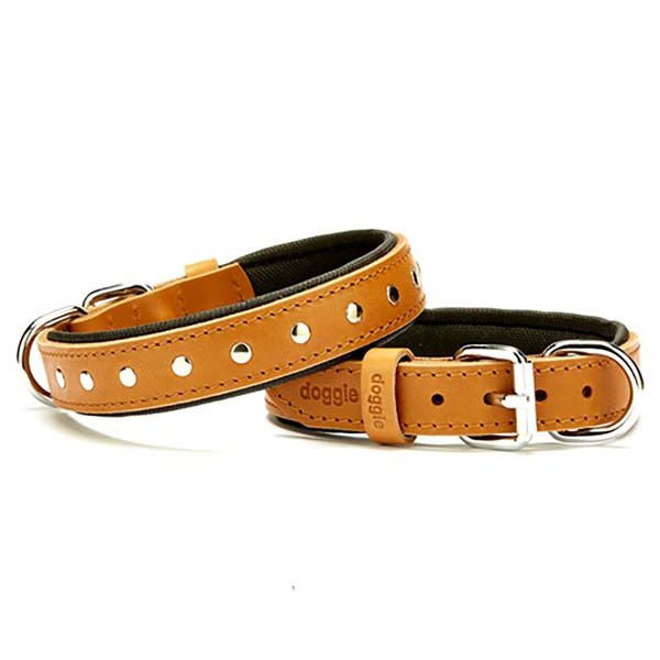 Doggie Comfort Deri Rivetli Köpek Boyun Tasması Medium Camel 2.5x37-45 Cm