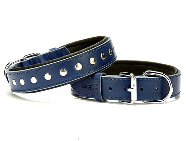 Doggie Comfort Deri Rivetli Köpek Boyun Tasması Medium Mavi 3x42-50 Cm
